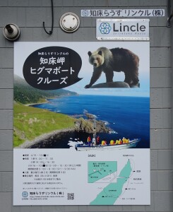 5日目　ヒグマボートクルーズいかかが？